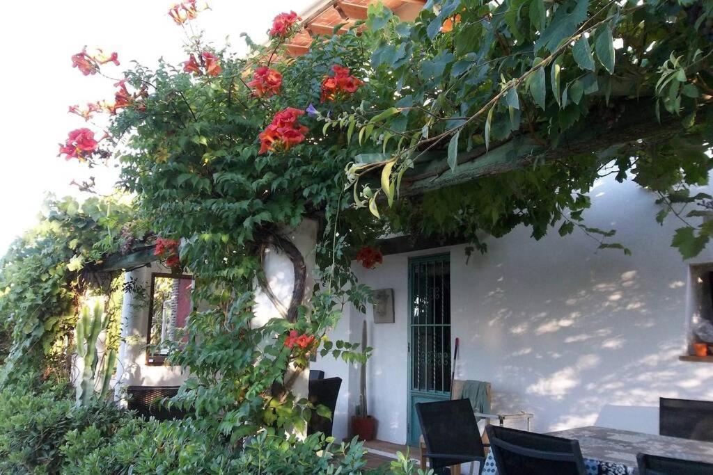 Cortijo Con Encanto Βίλα Cullera Εξωτερικό φωτογραφία